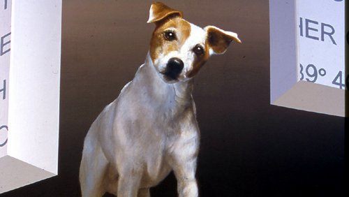 jack russell terrier dog in 3d mural by john pugh in bishop california